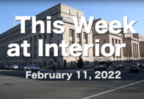 This week at Interior