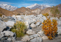 View of mountains in with large boulders in the foreground of the San Gorgonio Wilderness in Sand to Snow National Monument.