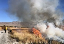 A fire burning in a field next to a firefighter.