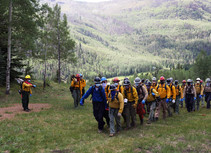 A crew of firefighters walk in a line.