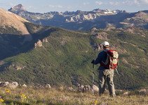 A person hiking on top of a mountain with wildflowers.