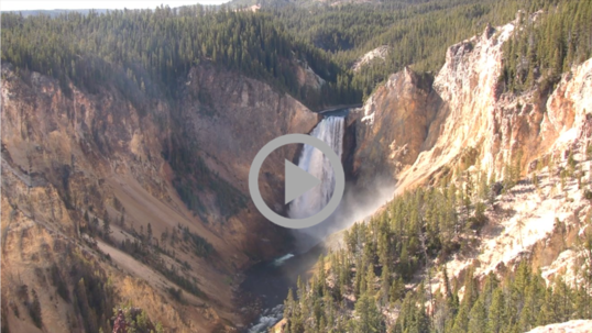 Waters cascades over the Lower Falls at Yellowstone National Park
