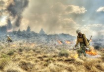 Two fire fighters  work a low burning active fire among grasses and shrubs. 