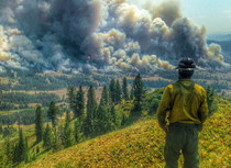 A firefighter overlooking a valley that is on fire.