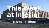 This week at Interior, March 11, 2022