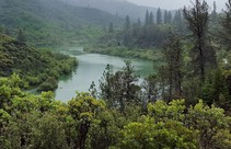 Photo of the Sacramento River surrounded by hills covered in pine trees, manzanitas and other shrubs.