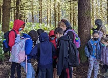 A bunch of children looking at something in a forest.