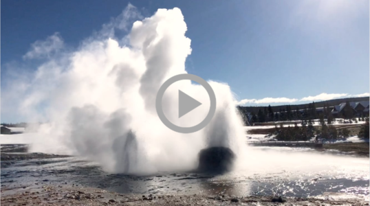 a geyser spews water and steam at Yellowstone National Park  