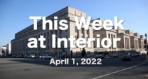 This week at Interior, April 1, 2022
