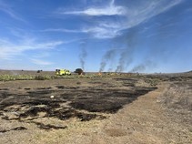 A field that has burned with fire engines along a road.