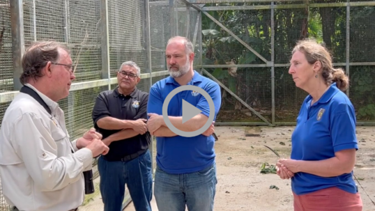 Deputy Secretary Beaudreau and Fish and Wildlife Director Williams get a wildlife tour in Puerto Rico