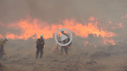 Firefighters battle a blazing wildfire 