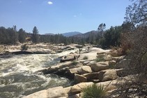 Photo of the Kern River's white water rushing past banks of boulders along its shores with conifers in the background.
