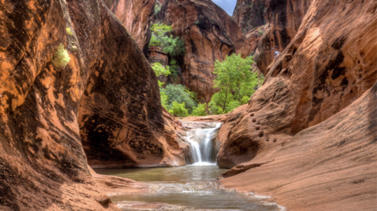 A waterfall feeds a stream flowing through a red rock canyon  