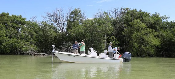 A group of anglers fish from a white boat on murky green water with a mangrove tree-lined shore behind them. Photo by NPS.