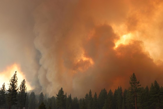 Smoke rising from the Tamarack Fire. Photo by the U.S. Forest Service.