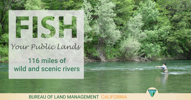 Fish your public lands. 116 miles of wild and scenic rivers.