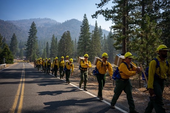 Fire personnel training at the Dixie Fire. Photo by Joe Bradshaw, BLM.