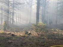 Firefighters walking in a smoky forest.