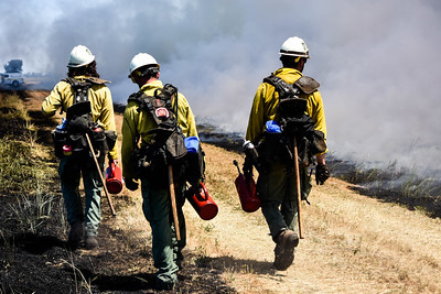 Three firefighters walking alongside a brushfire.