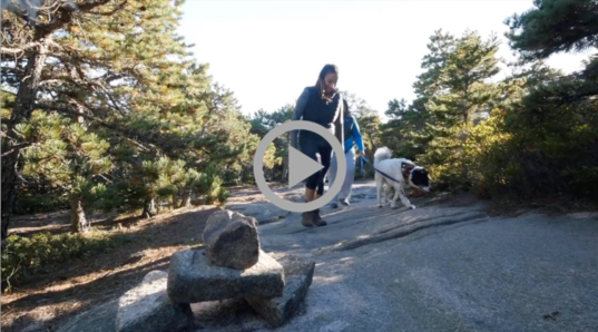 Two women and a dog hike up a rocky mountain trail amid pine trees