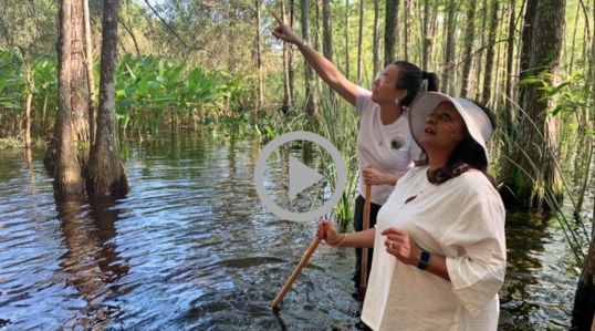 Assistant Secretary for Fish and Wildlife and Parks Shannon Estenoz stands in swamp water with another woman, pointing upward toward trees  