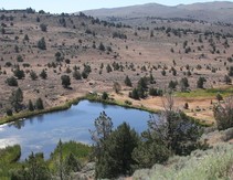 High desert rangeland with a water source.