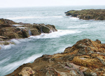 Tidal waters flowing over a rocky shore.