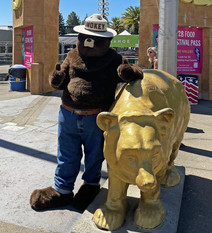 Smokey Bear next to a golden bear.
