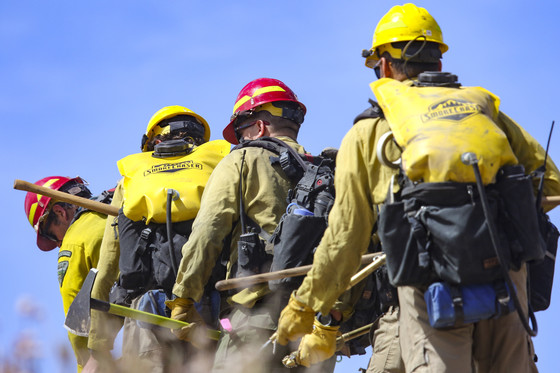 Firefighters in Arizona seen from behind hiking with gear for a mock fire exercise. Photo by Suzanne Allman, BLM contractor.