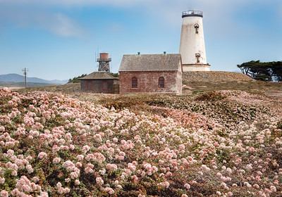 A lighthouse surrounded by pink flowers.