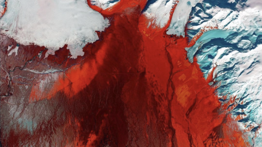 A photo showing green moss as red and black smears against an arctic background