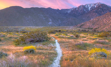 A trail highlighted by sunset colors leading to a mountain range.