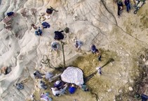 An overhead view of people working in dirt.