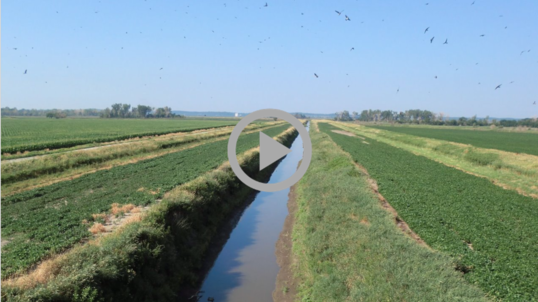 A long irrigation ditch stretches across a plowed field