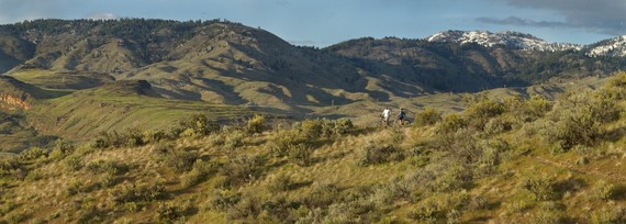 Two people walking through green grass on the Boise Foothills