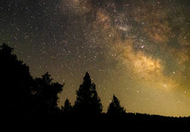 The milky way over a forest.