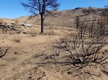 A burned area on a mountain.