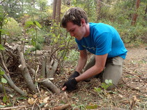 A man planting a shrub along a trail.