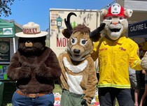 Smokey the Bear, Seymore the Elk and another fire mascot pose for a photo.