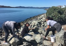 Three woman cleaning up around rocks by the water.
