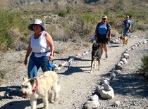 Three people walking their dogs on a trail.