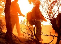 Firefighters walking near a wildfire.