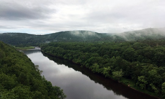 Upper Delaware River surrounded by green trees and fog