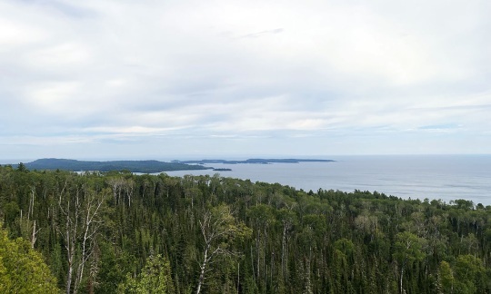 Lake Superior surrounded by green trees