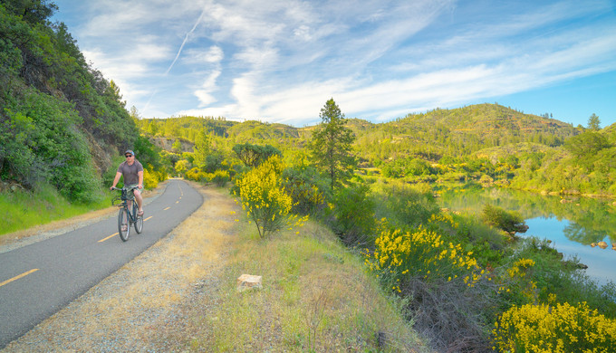 A person riding a bike on a trail next to a river with yellow flowers lining it.