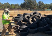 A person throwing a tire on a pile of tires.