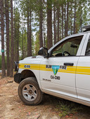 A BLM work truck in a forest