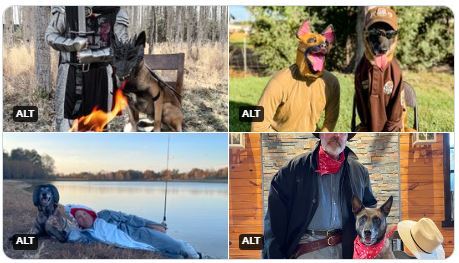 Four photos showing dogs that are members of the USFWS Canine (K9) Program