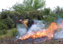 A wildland firefighter is working a small pile fire with low flames and smoke in front of him and green brush and grass around him. 